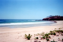23_mysto_cove-pg_north.jpg