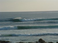 DSCF0026.JPG