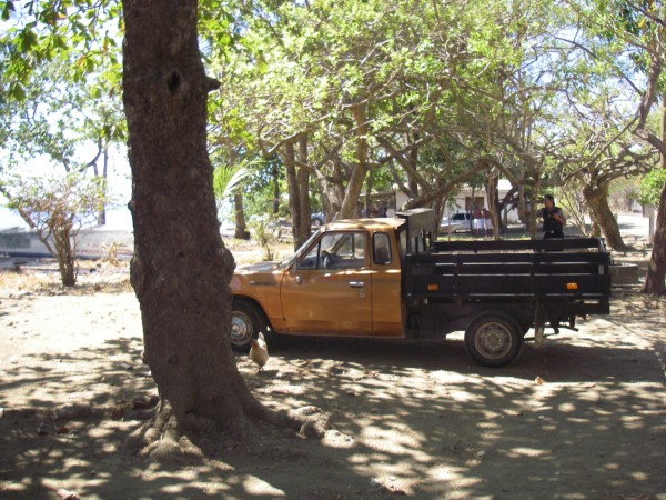 IMGP0218.JPG