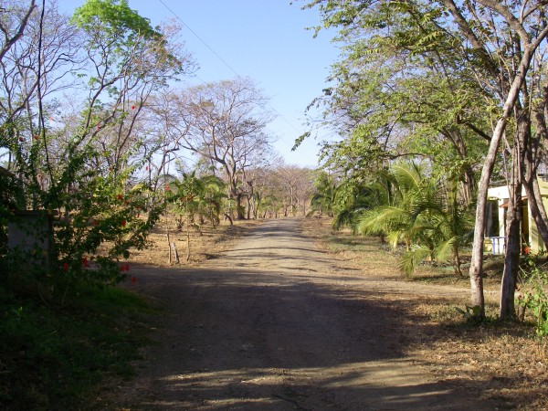 IMGP0245.JPG