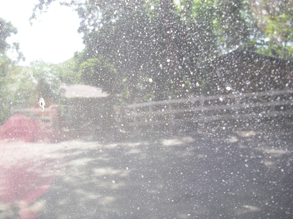 IMGP0300.JPG