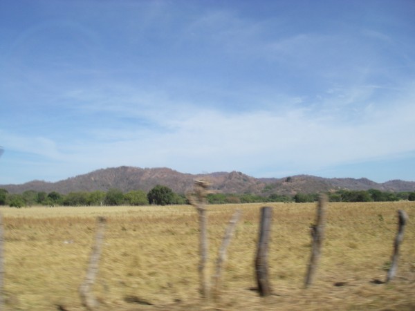 IMGP0306.JPG