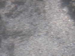 IMGP0126.JPG
