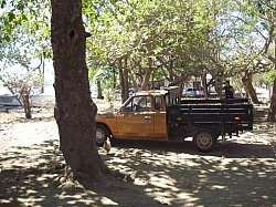IMGP0218.JPG