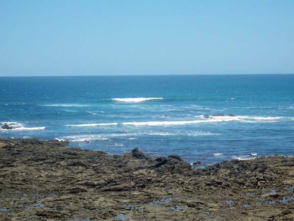 100_1575.jpg