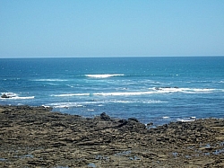 100_1575.jpg