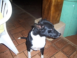 100_1583.jpg