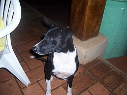 100_1584.jpg