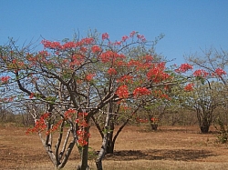 100_1589.jpg