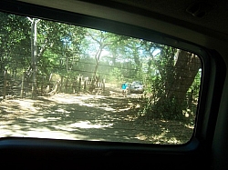 100_1596.jpg