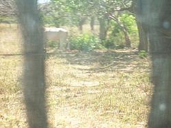 100_1598.jpg