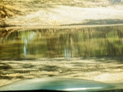 100_1599.jpg
