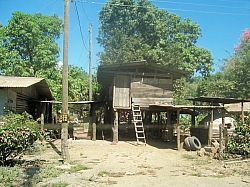 100_1603.jpg