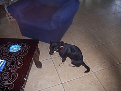 100_1614.jpg
