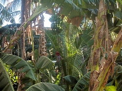 100_1625.jpg