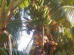 100_1626.jpg