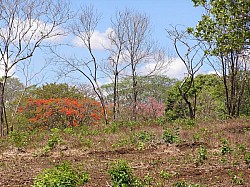 P3240031.JPG