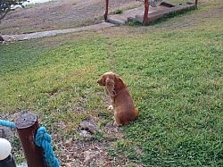 DSCF0005.JPG