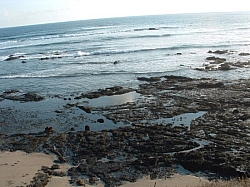 DSCF0027.JPG