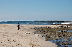 CR_019.jpg