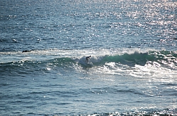 CR_115.jpg
