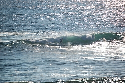 CR_116.jpg