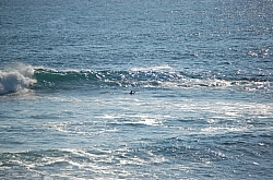 CR_126.jpg