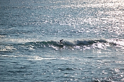 CR_153.jpg