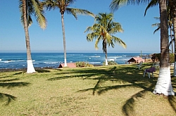 CR_201.jpg