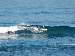 CR_Brett_3.jpg