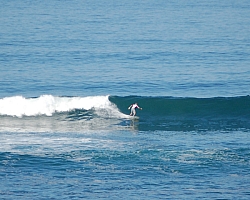 CR_Brett_4.jpg