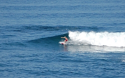 CR_Neal_2.jpg