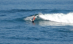 CR_Neal_3.jpg