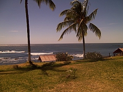 100_3770.jpg