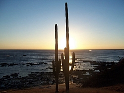 100_3774.jpg