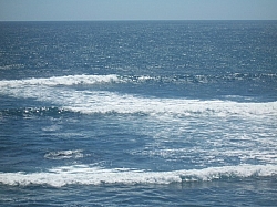 100_3790.jpg