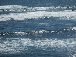 100_3791.jpg