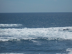 100_3792.jpg
