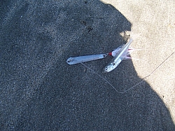 100_3796.jpg
