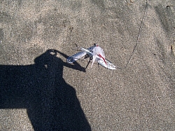 100_3797.jpg