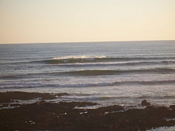 100_3798.jpg
