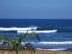 100_3806.jpg