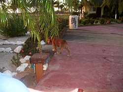 100_3812.jpg