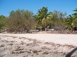 100_3818.jpg