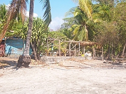 100_3820.jpg