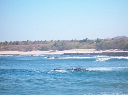 100_3840.jpg