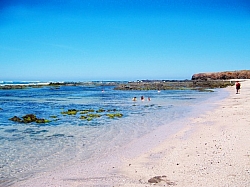100_3843.jpg