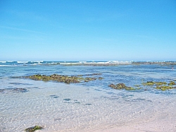 100_3844.jpg