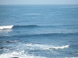 100_3848.jpg