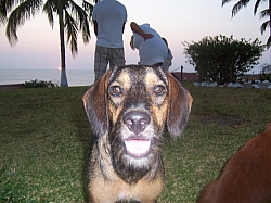 100_3865.jpg
